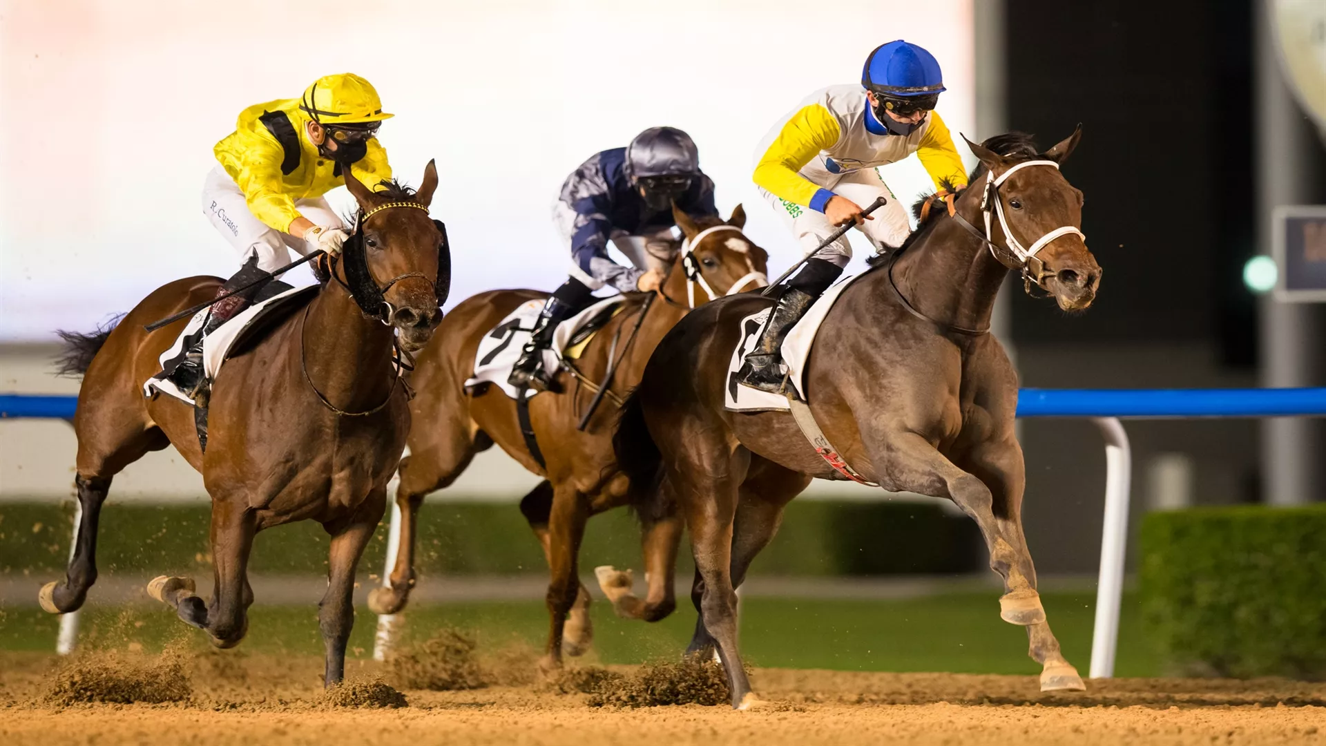 Super Chianti trained by Doug Watson seen here winning earlier in the season at Meydan on her only outing (credit: Dubai Racing Club/Erika Rasmussen)