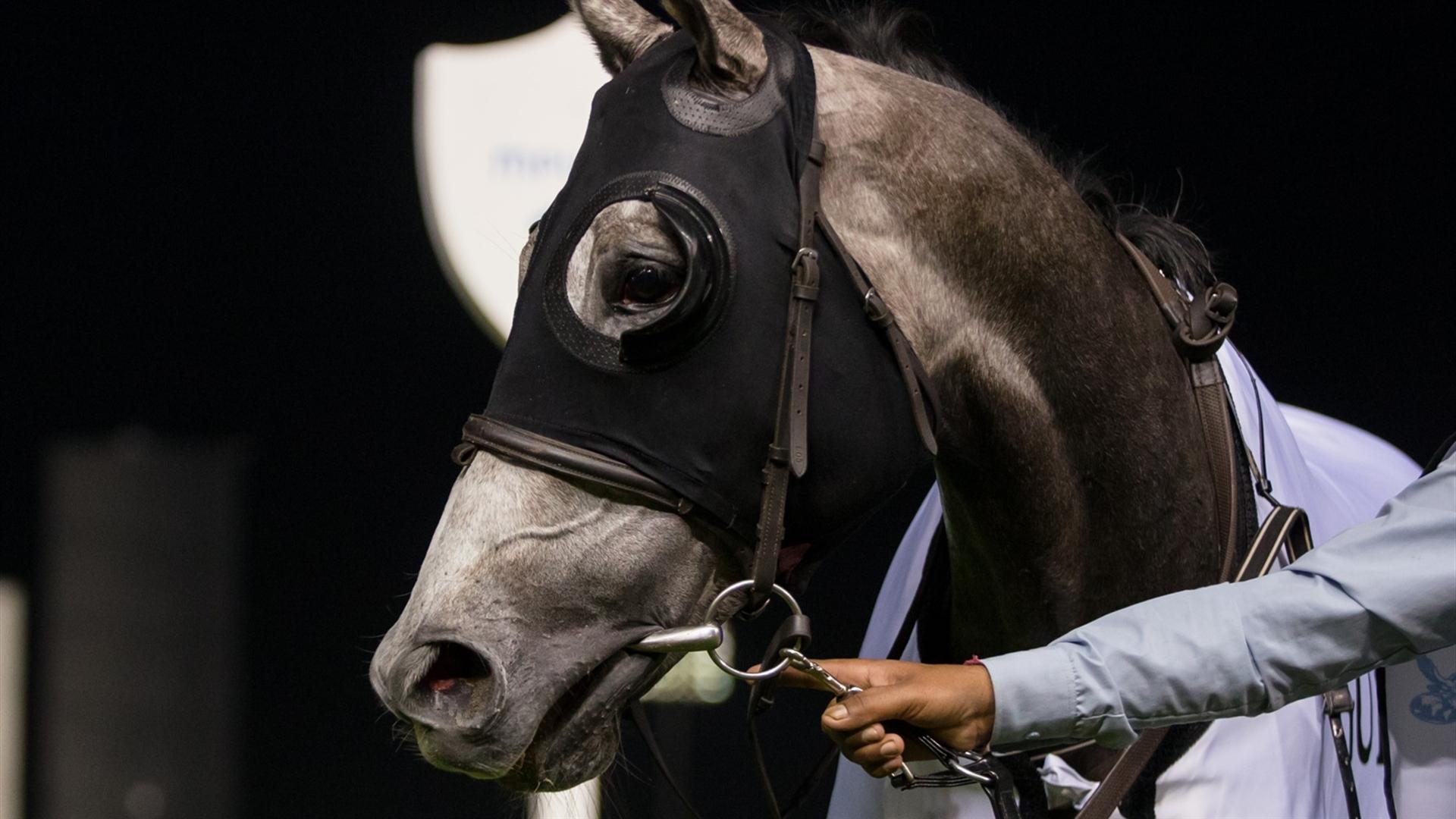 Mystery Land (GB) (Helal Alalawi - Patrick Cosgrave) wins the Gulf News race at the eighth Racing at Meydan meeting on January 30, 2021. (Credit: DRC // Erika Rasmussen)