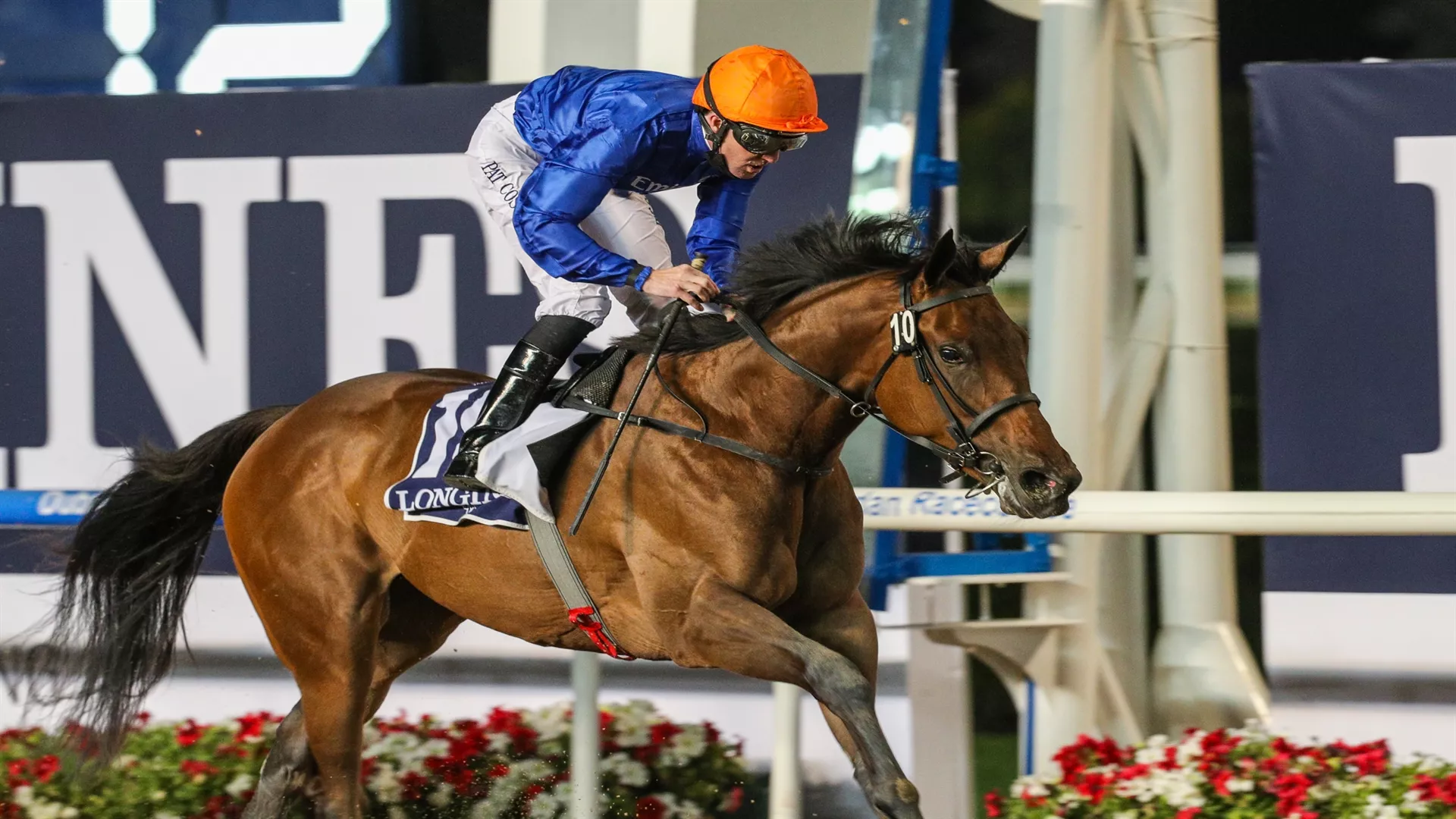 Soft Whisper winner of the UAE 1000 Guineas Trial, represents trainer Saeed bin Suroor in the UAE 1000 Guineas at Meydan (credit: Dubai Racing Club and Erika Rasmussen)