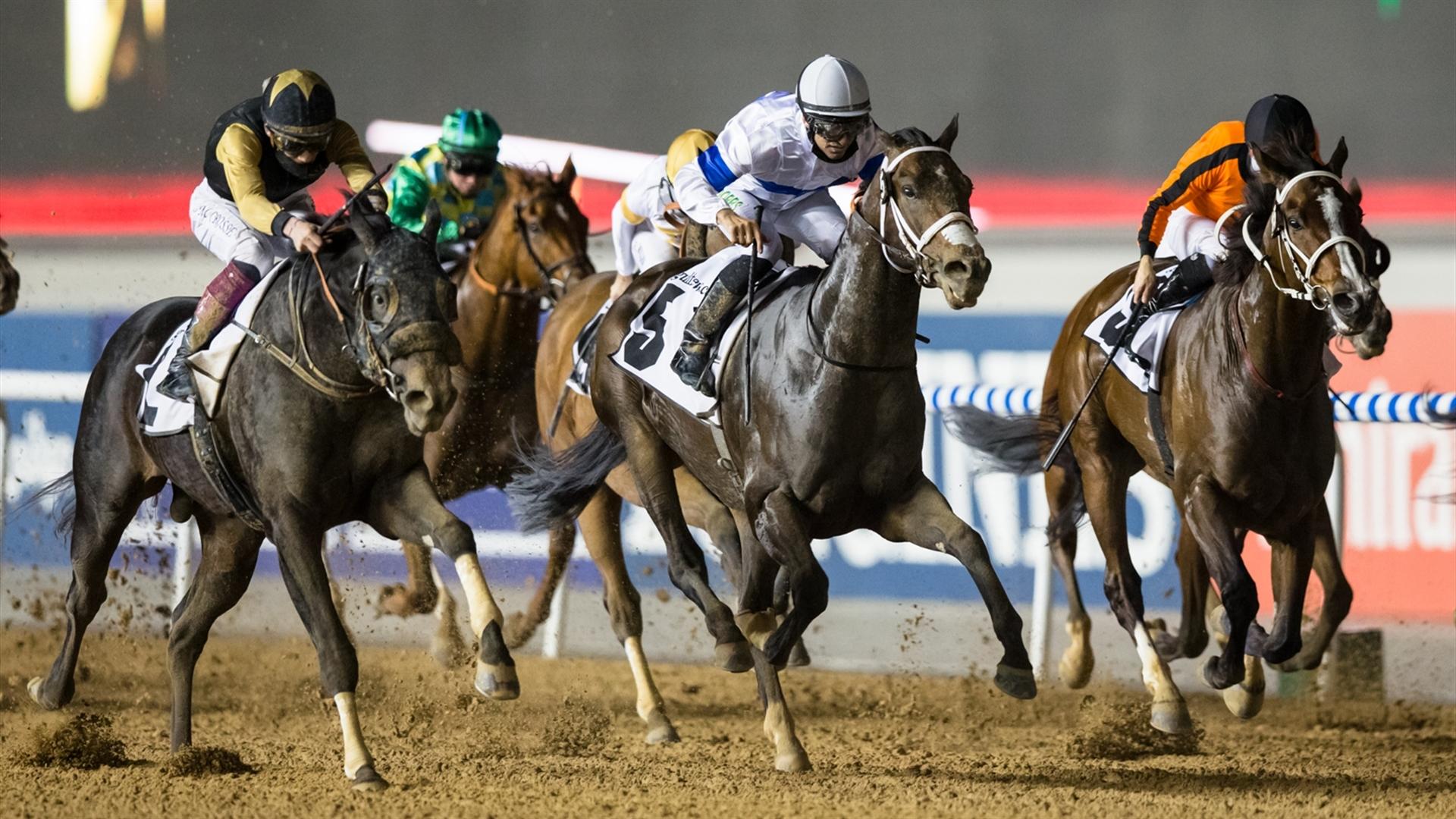 Twelfthofneverland (USA) (Satish Seemar - Nathan Crosse) wins the Gulfnews.com - 1600m race at the eighth Racing at Meydan meeting on January 30, 2021. (Credit: DRC // Erika Rasmussen)