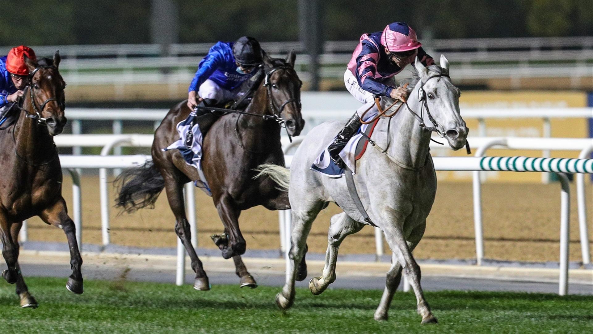 Lord Glitters (FR) (David O'Meara - Adrie de Vries) wins the Singspiel Stakes Sponsored By Riviera By Azizi race at the first DWCC on January 21, 2021. (Credit: Dubai Racing Club)
