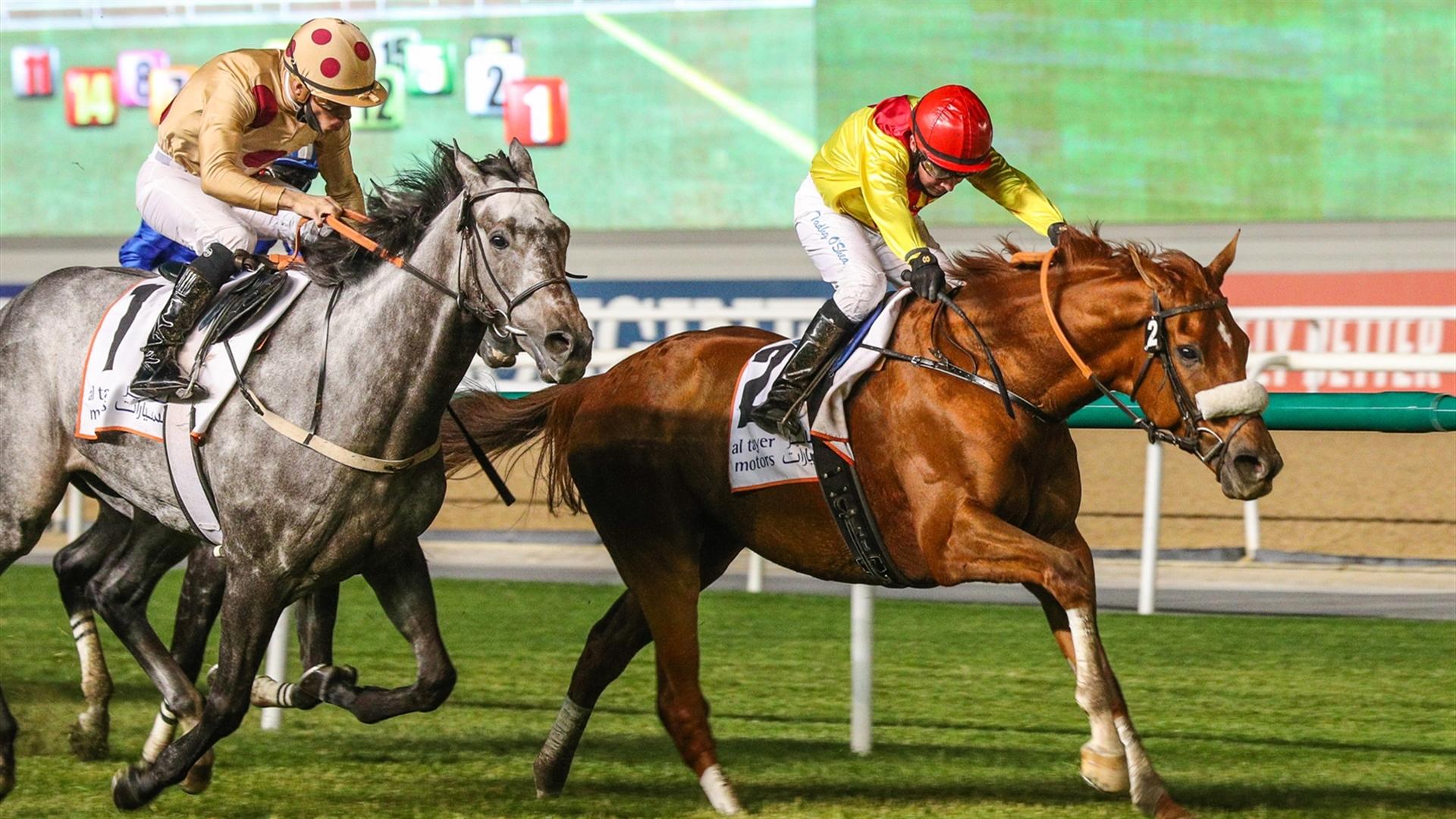 Recordman (GB) (Satish Seemar - Tadhg O'Shea) wins the Al Tayer Motors at the seventh Racing at Meydan meeting on January 16, 2021. (Credit: Dubai Racing Club)