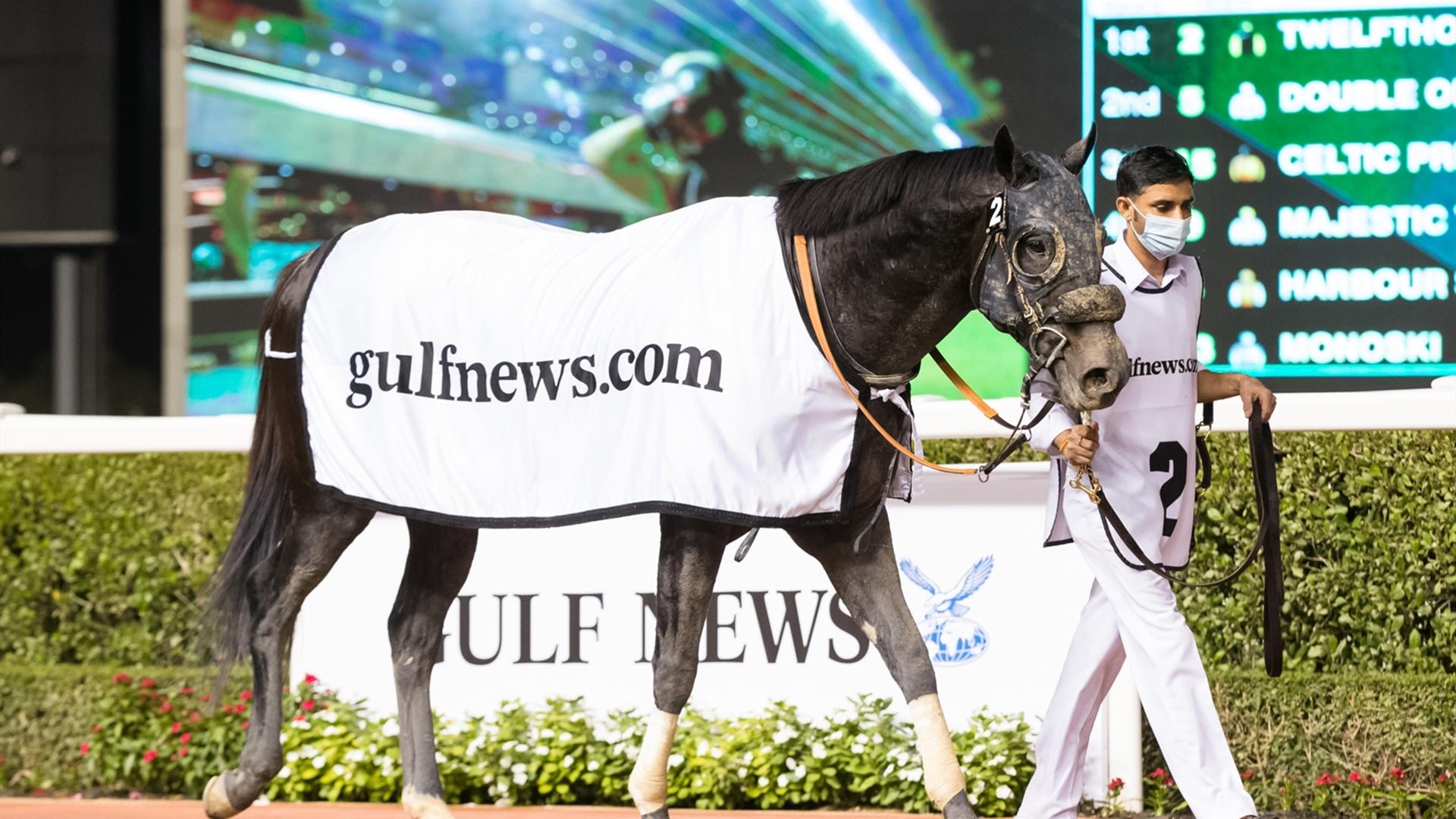 Twelfthofneverland (USA) (Satish Seemar - Nathan Crosse) wins the Gulfnews.com - 1600m race at the eighth Racing at Meydan meeting on January 30, 2021. (Credit: DRC // Erika Rasmussen)