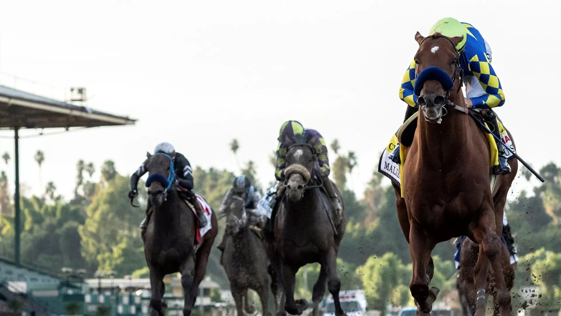 Bob Baffert-trained Charlatan winner of the G1 Runhappy Malibu Stakes is nominated for the G1 $12 million Dubai World Cup sponsored by Emirates Airline (credit: Benoit Photo)