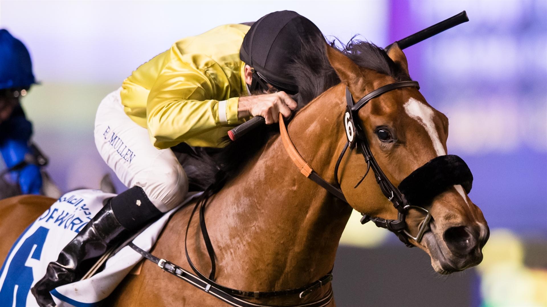 Topper Bill (FR) (Satish Seemar - Richard Mullen) wins the Meydan Classic Trial Sponsored By Jebel Ali Port - 1400m, Turf race at the third DWCC on February 4, 2021. (Credit: Erika Rasmussen//DRC)