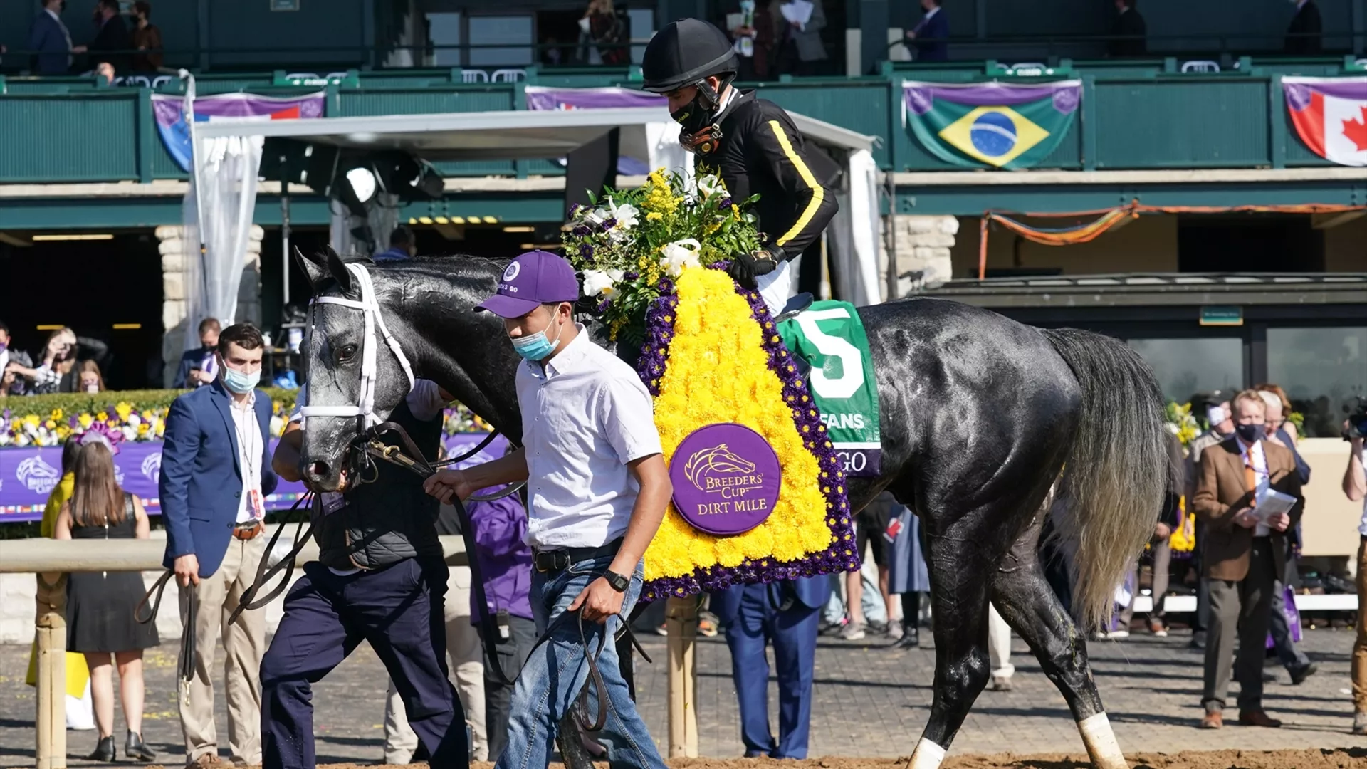 Knicks Go nominated for the G1 Dubai World Cup 2021 sponsored by Emirates Airline, seen here winning the  2020 G1 Breeders'Cup Dirt Mile. (credit: Mathea Kelley)