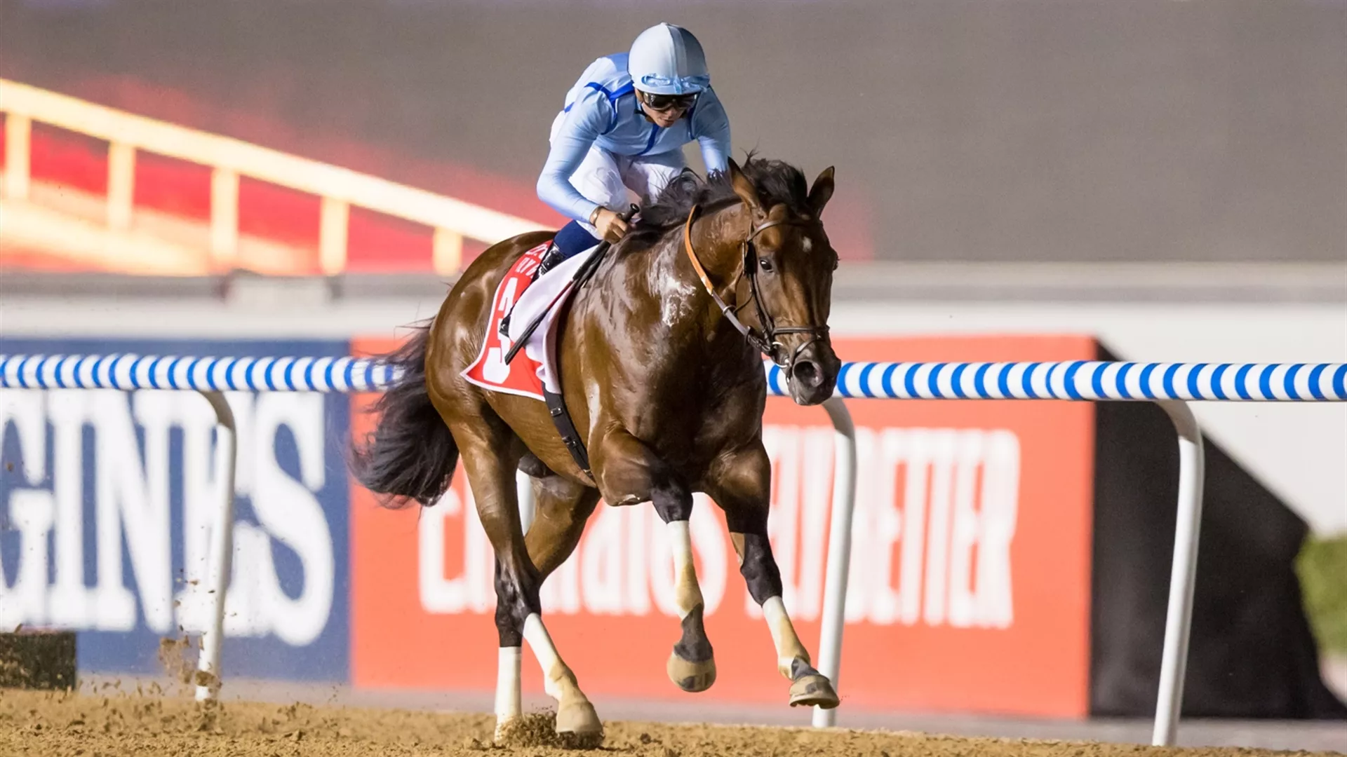 Matterhorn seen here winning the 2020 AlMaktoum Challenge Round 3. (credit: Erika Rasmussen, Dubai Racing Club)