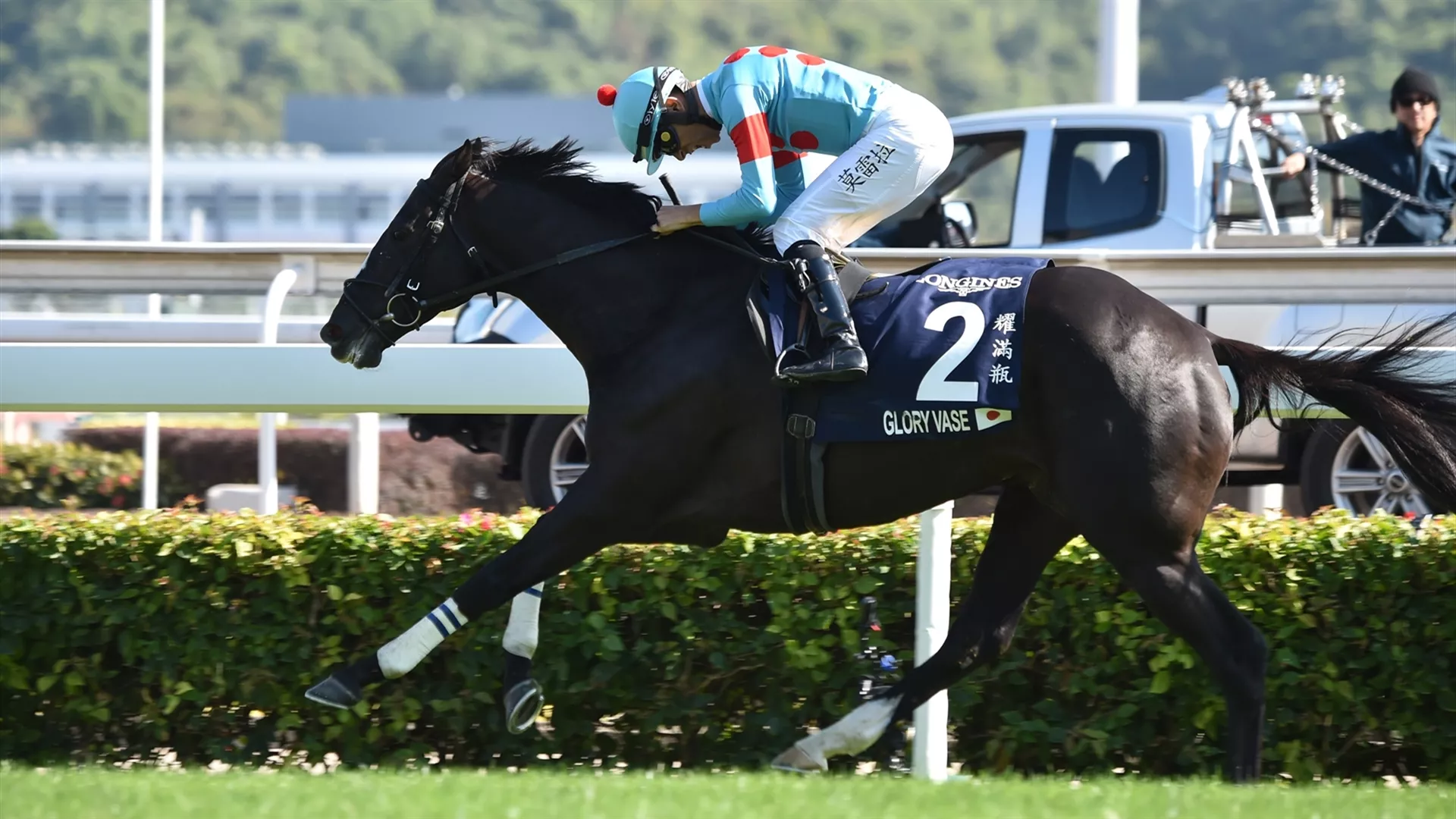 Glory Vase, winner of the 2019 G1 Hong Kong Vase, is a star attraction in the G1 Longines Dubai Sheema Classic for trainer Tomohito Ozeki (credit: Katsumi Saito)