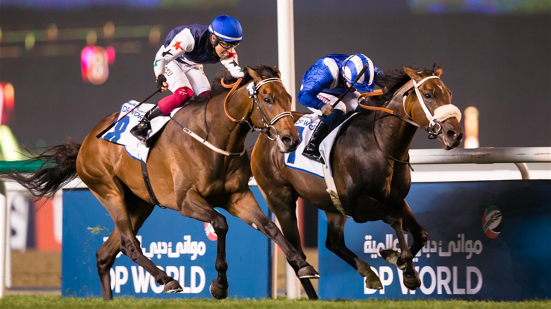 Good Tidings (FR) (Musabbeh Al Mheiri - Antonio Fresu) the DP World Handicap Sponsored By DP World at the Eleventh Racing at Meydan meeting on April 8, 2021.(Credit:Dubai Racing Club//Erika Rasmussen)