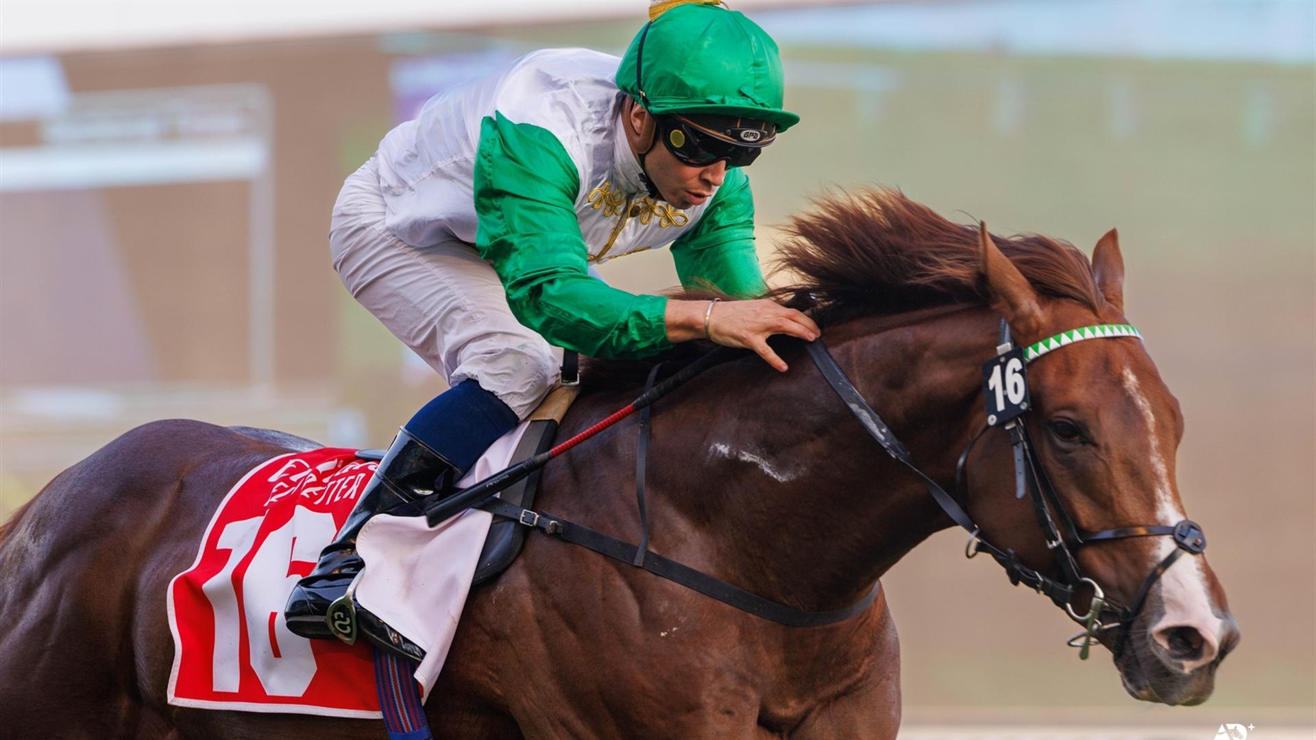 Al Dasim - Nad Al Sheba Turf Sprint