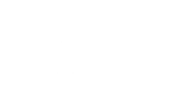 Dubai Racing Carnival vertical logo