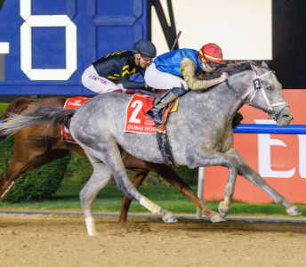 Thoroughbred horse racing at Dubai track