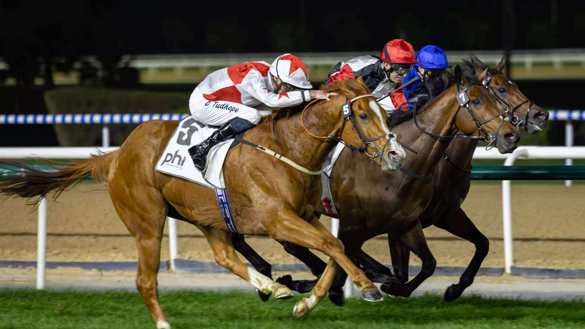 Poker Face and Tuz Shine as Meydan Welcomes a New Year | Dubai Racing Club