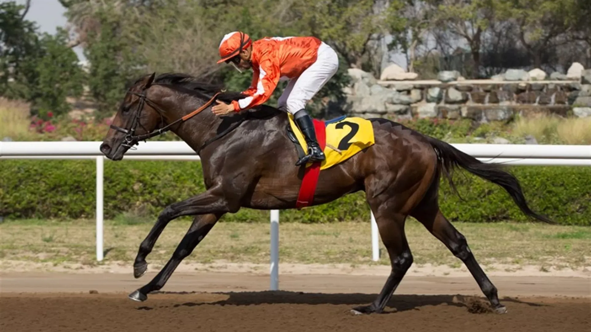 TALENTO PUMA: ERA//Erika Rasmussen