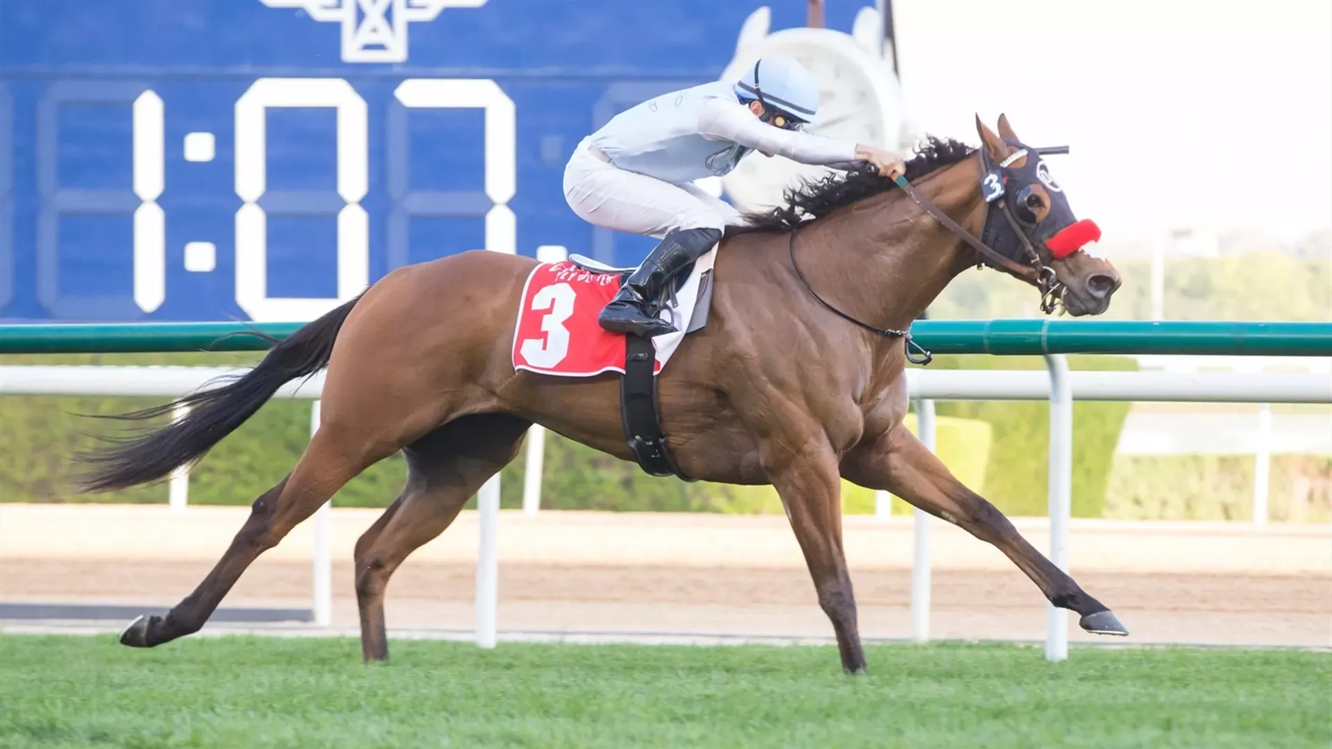 Wildman Jack: Dubai Racing Club//Erika Rasmussen