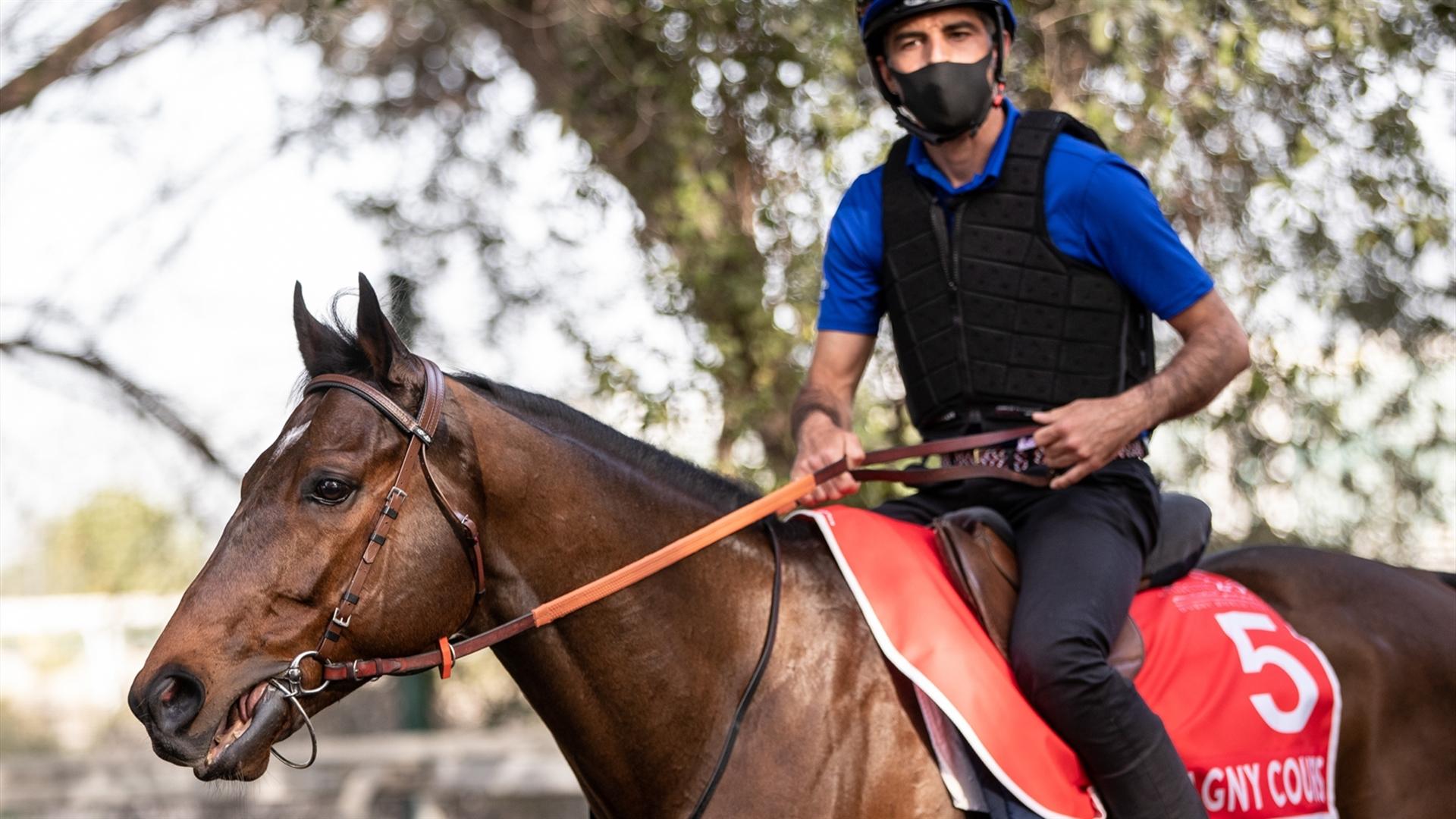 Magny Cours (USA) (Andre Fabre) DUBAI WORLD CUP (Credit Dubai Racing Club & Neville Hopwood) 250321