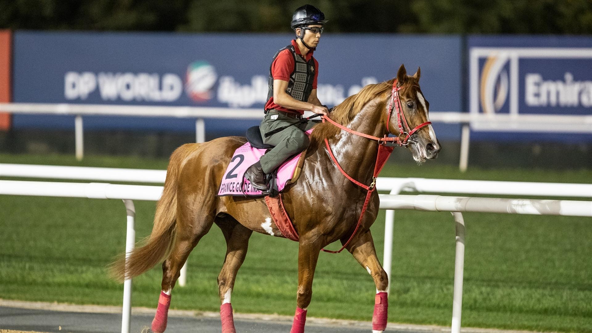 France Go De Ina (USA) (Hideyuki Mori) UAE DERBY (Credit Dubai Racing Club & Neville Hopwood)