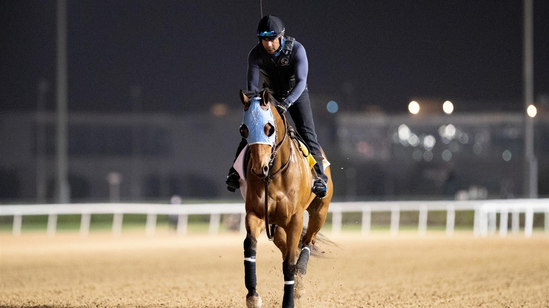 Wildman Jack (USA) (Doug O'Neill) Dubai Golden Shaheen (Credit Dubai Racing Club & Neville Hopwood) 250321