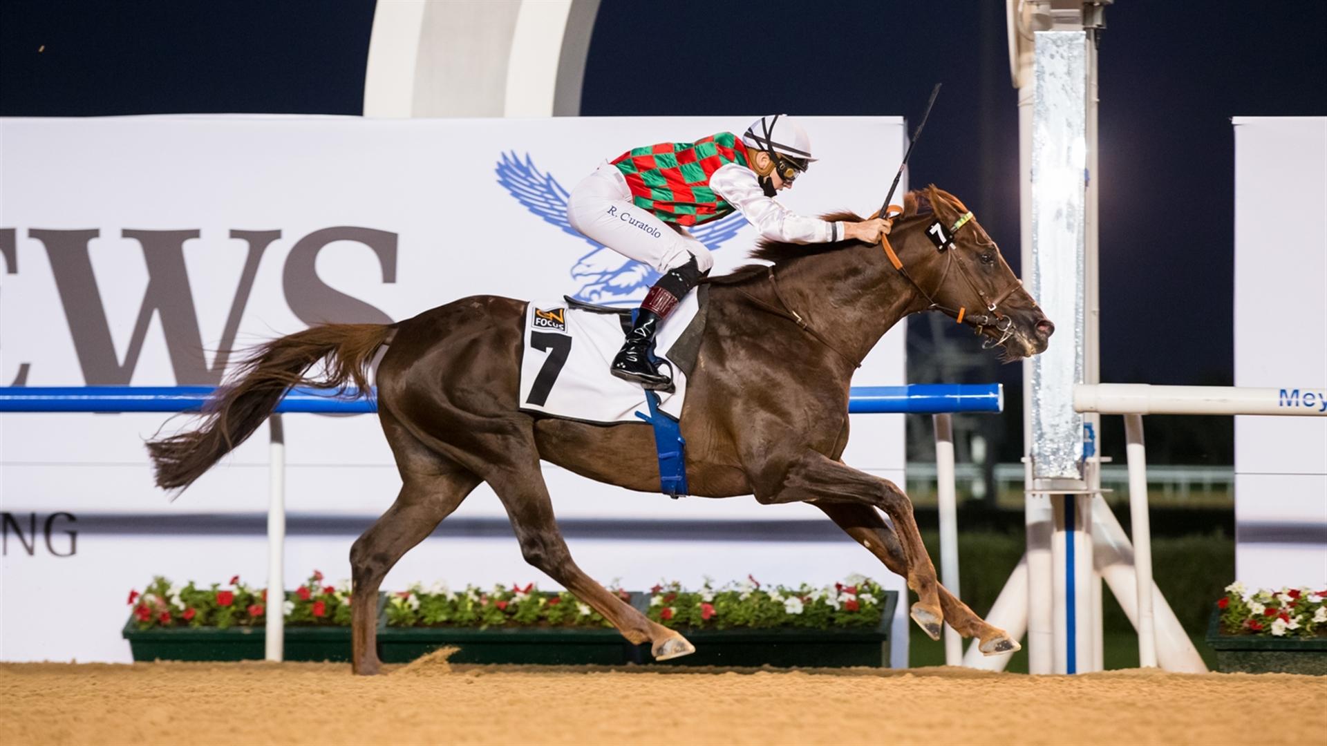 Brraq (FR) (Jean-Claude Pecout - Ryan Curatolo) wins the PA, Al Maktoum Challenge R3 Sponsored By gnfocus, race at the Sixth Dubai World Cup Carnival on February 25, 2021.(Credit:Erika Rasmussen//DRC)