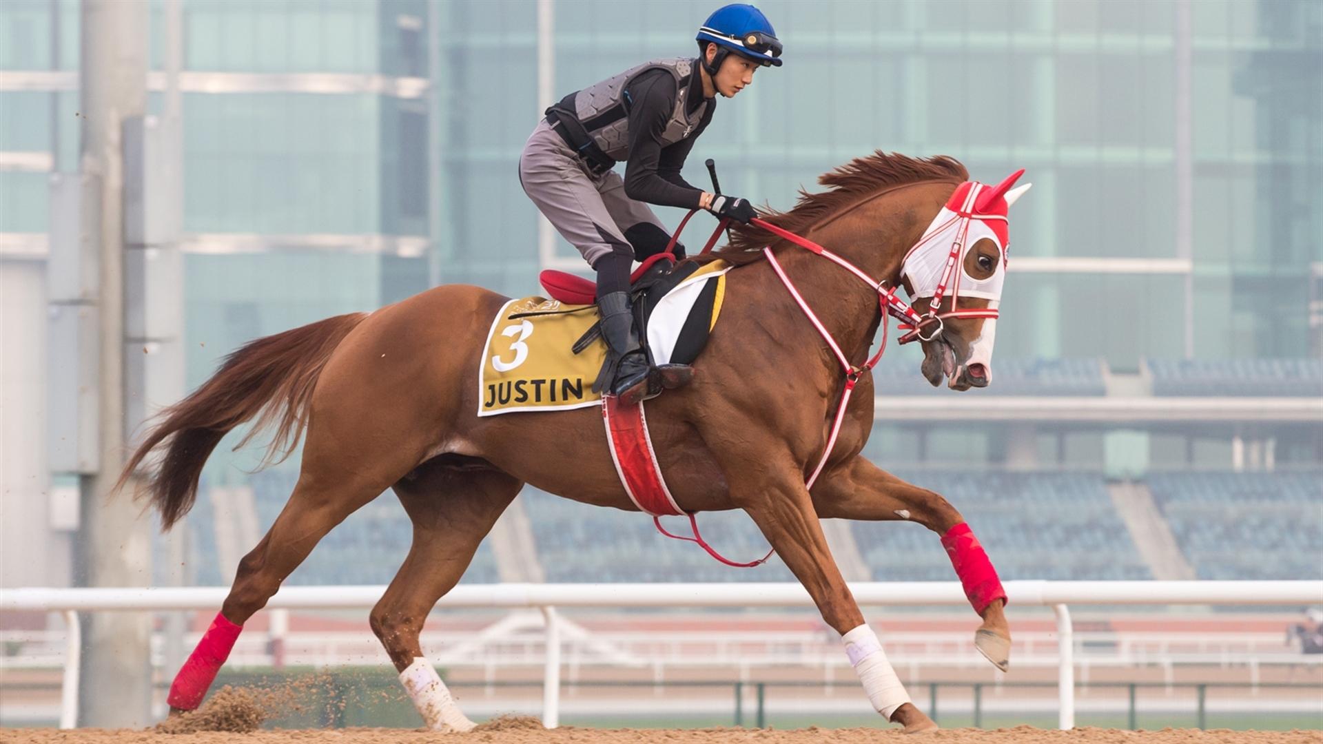 Justin (JPN) (Yoshito Yahagi) Dubai Golden Shaheen (Credit DRC & Erika Rasmussen)