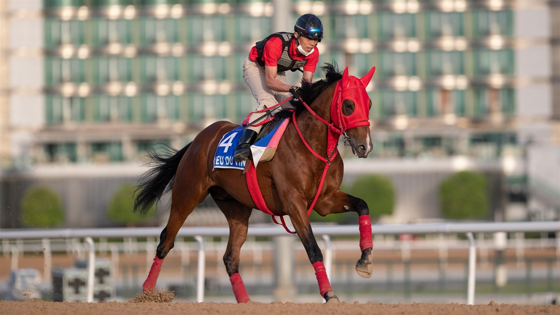 Dieu Du Vin (JPN) (Yukihiro Kato) GODOLPHIN MILE (Credit Dubai Racing Club & Neville Hopwood) 220321