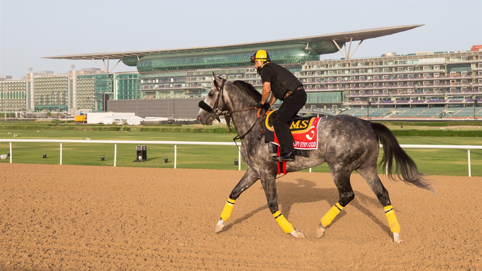 Sleepy Eyes Todd (USA) (Miguel Angel Silva) DUBAI WORLD CUP (Credit DRC & Erika Rasmussen) 260321 (2)