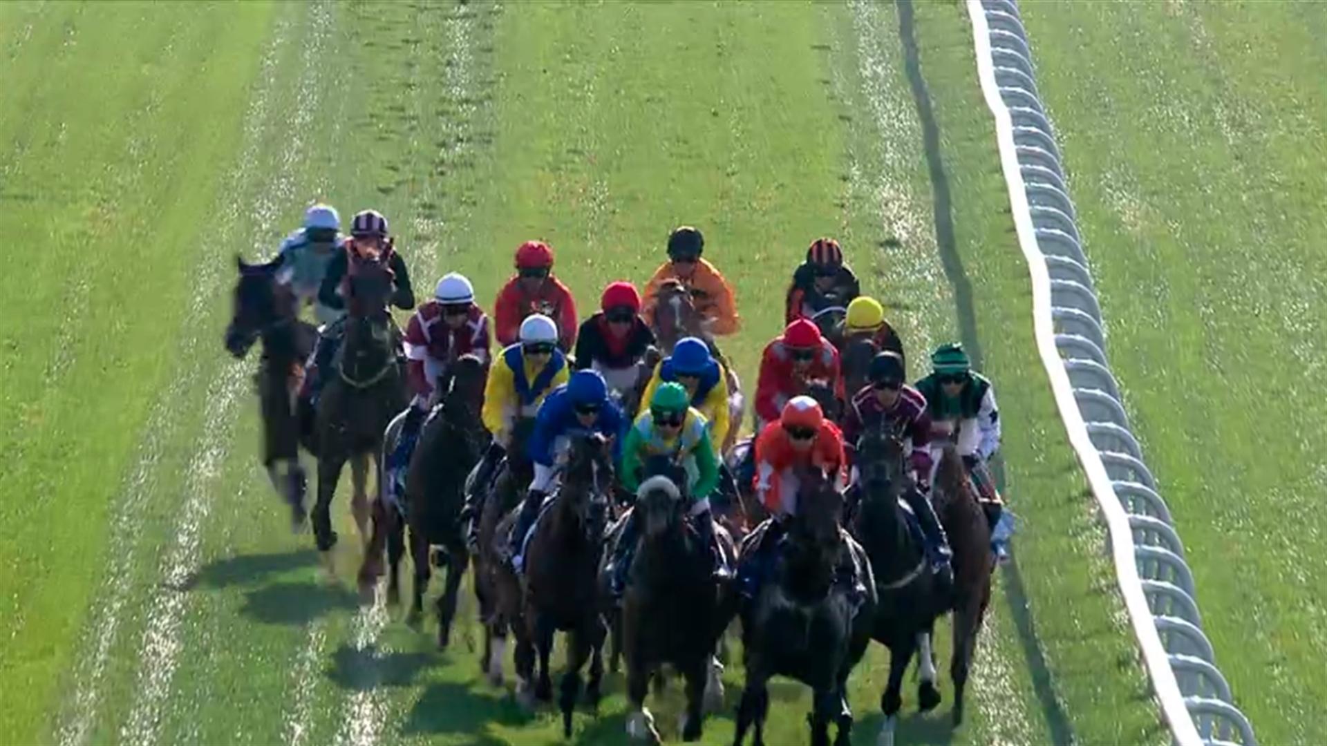 Race 2: Emirates NBD Business Banking, 1 Feb 2020 | Dubai Racing Club