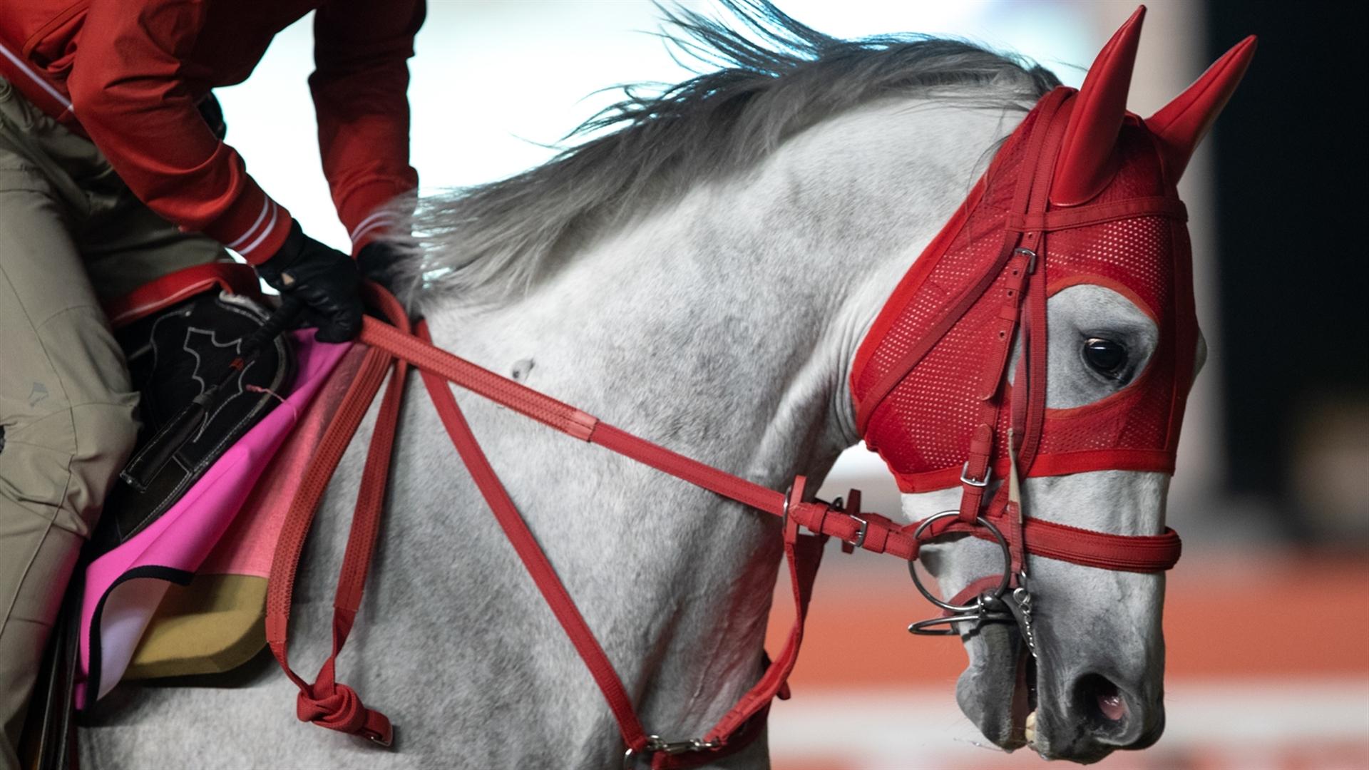 Takeru Pegasus (JPN) (Yukihiro Kato) UAE DERBY (Credit Dubai Racing Club & Neville Hopwood) 250321