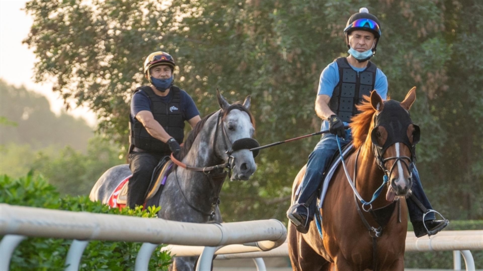 Sleepy Eyes Todd (USA) (MAngel Silva) DWC & Cowan (USA) (Steve Asmussen) AQS(Credit DRC & Mathea) 2503121