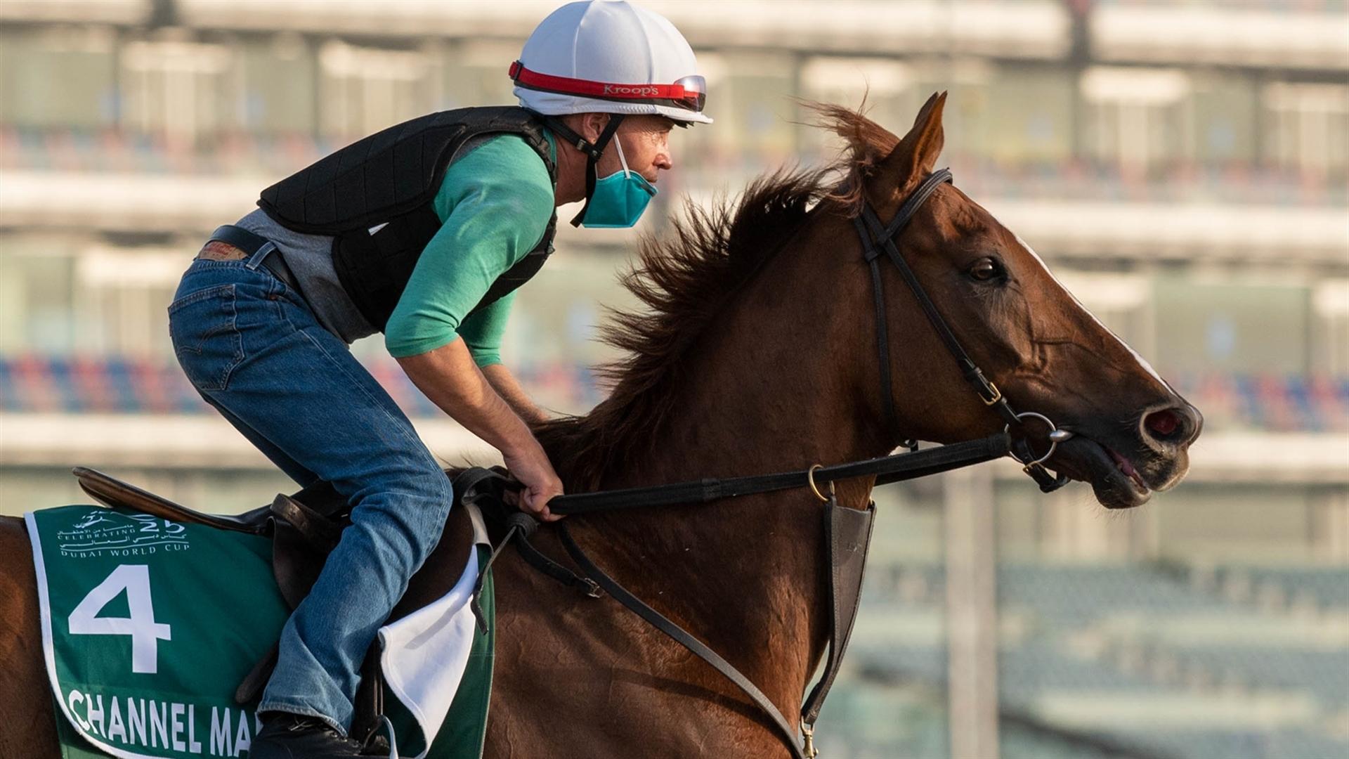 Channel Maker (CAN) (Bill Mott) LONGINES DUBAI SHEEMA CLASSIC (Credit Dubai Racing Club & Mathea Kelley) 260321