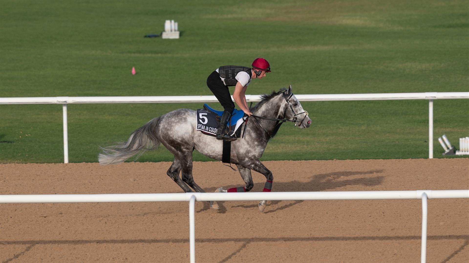 Speak in Colours (IRE) (Joseph O'Brien) Al Quoz Sprint (Credit Dubai Racing Club & Neville Hopwood) 260321