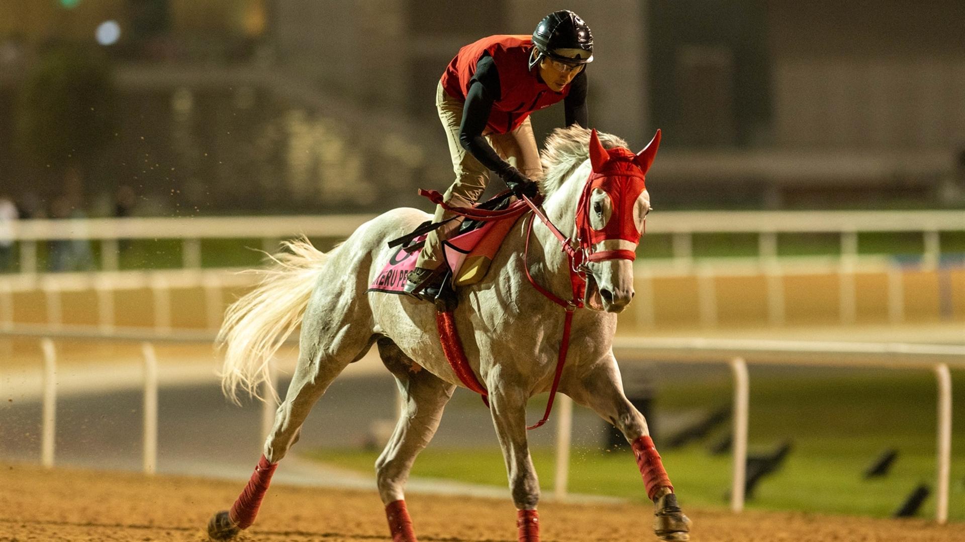 Takeru Pegasus (JPN) (Yukihiro Kato) UAE DERBY (Credit Dubai Racing Club & Mathea Kelley) 260321