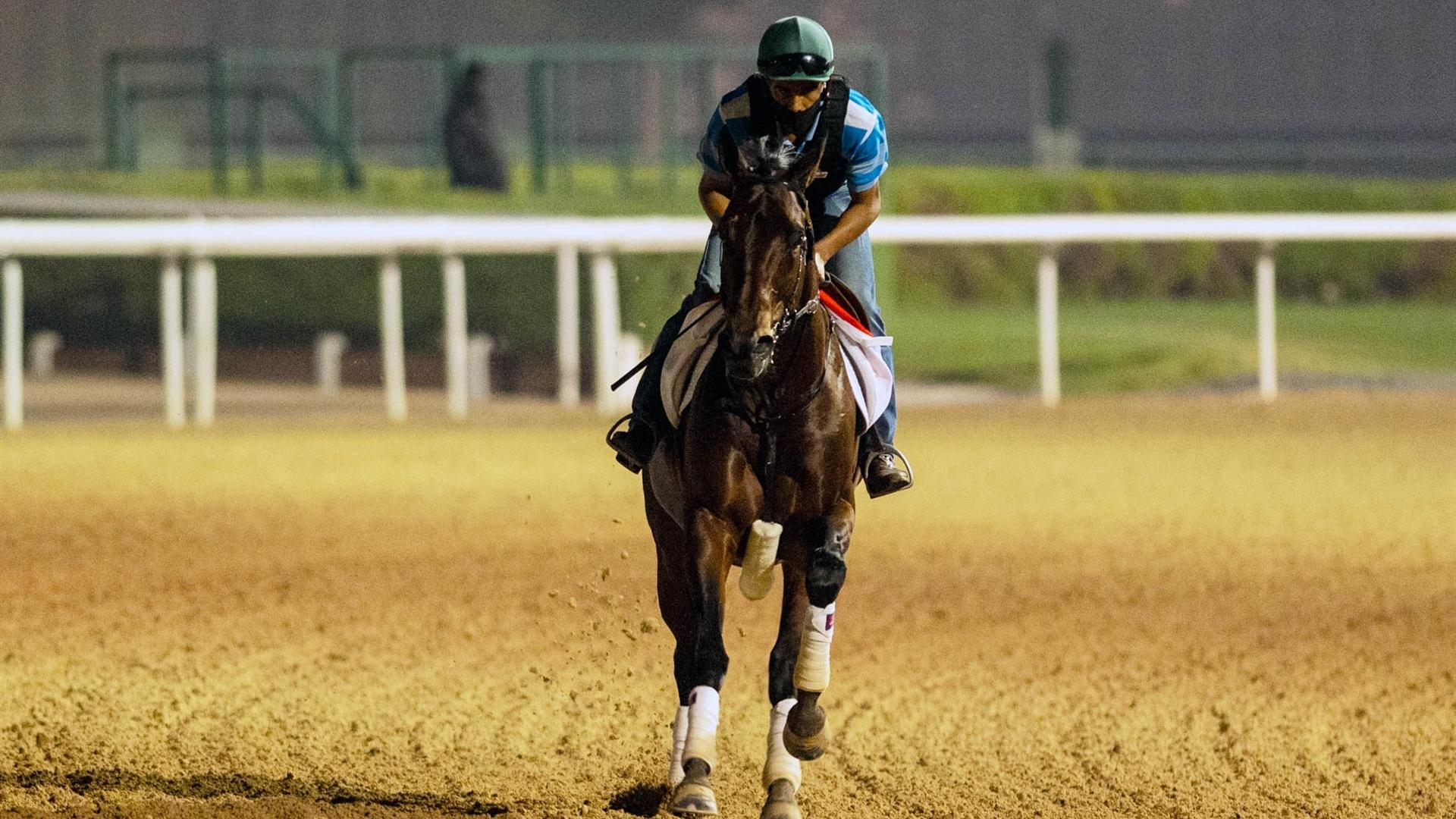 Ajuste Fiscal (URU) (Antonio Cintra) DUBAI WORLD CUP (Credit Dubai Racing Club & Mathea Kelley) 240321