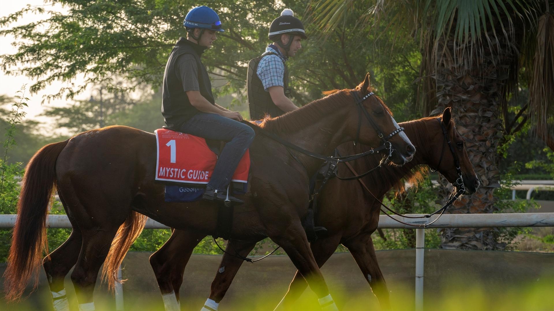 Mystic Guide (USA) (Michael Stidham) DUBAI WORLD CUP (Credit Dubai Racing Club & Mathea Kelley) 250321 (2)