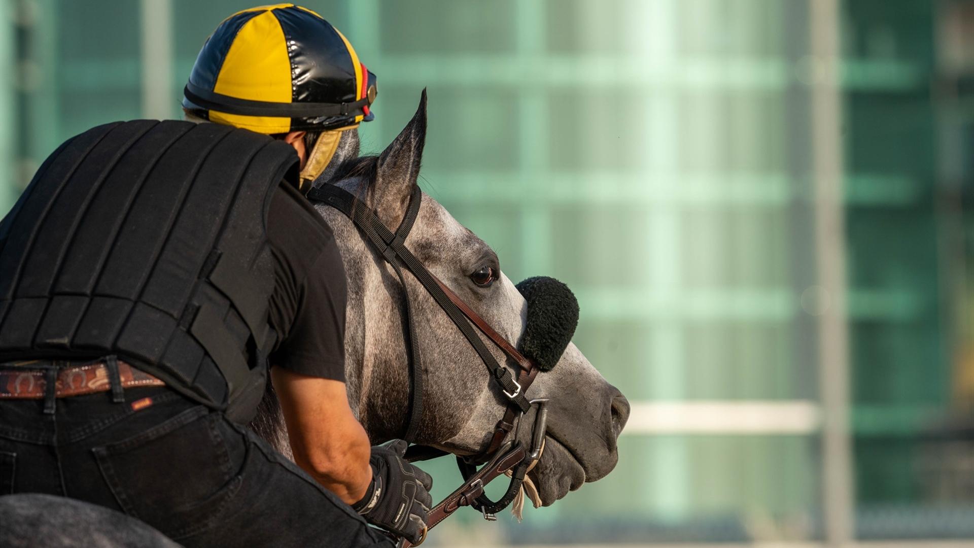 Sleepy Eyes Todd (USA) (Miguel Angel Silva) DUBAI WORLD CUP (Credit Dubai Racing Club & Mathea Kelley) 260321