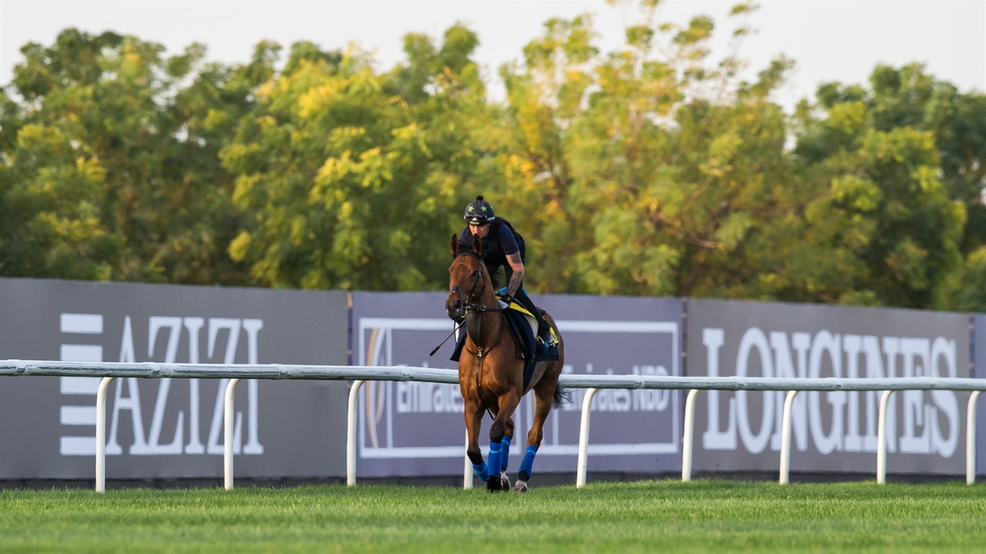 Lord North (IRE) (John Gosden) DUBAI TURF (Credit DRC & Erika Rasmussen) 260321