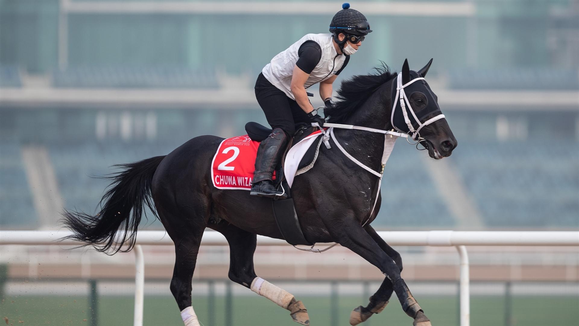 Chuwa Wizard (JPN) (Ryuji Okubo) Dubai World Cup (Credit Dubai Racing Club & Neville Hopwood)