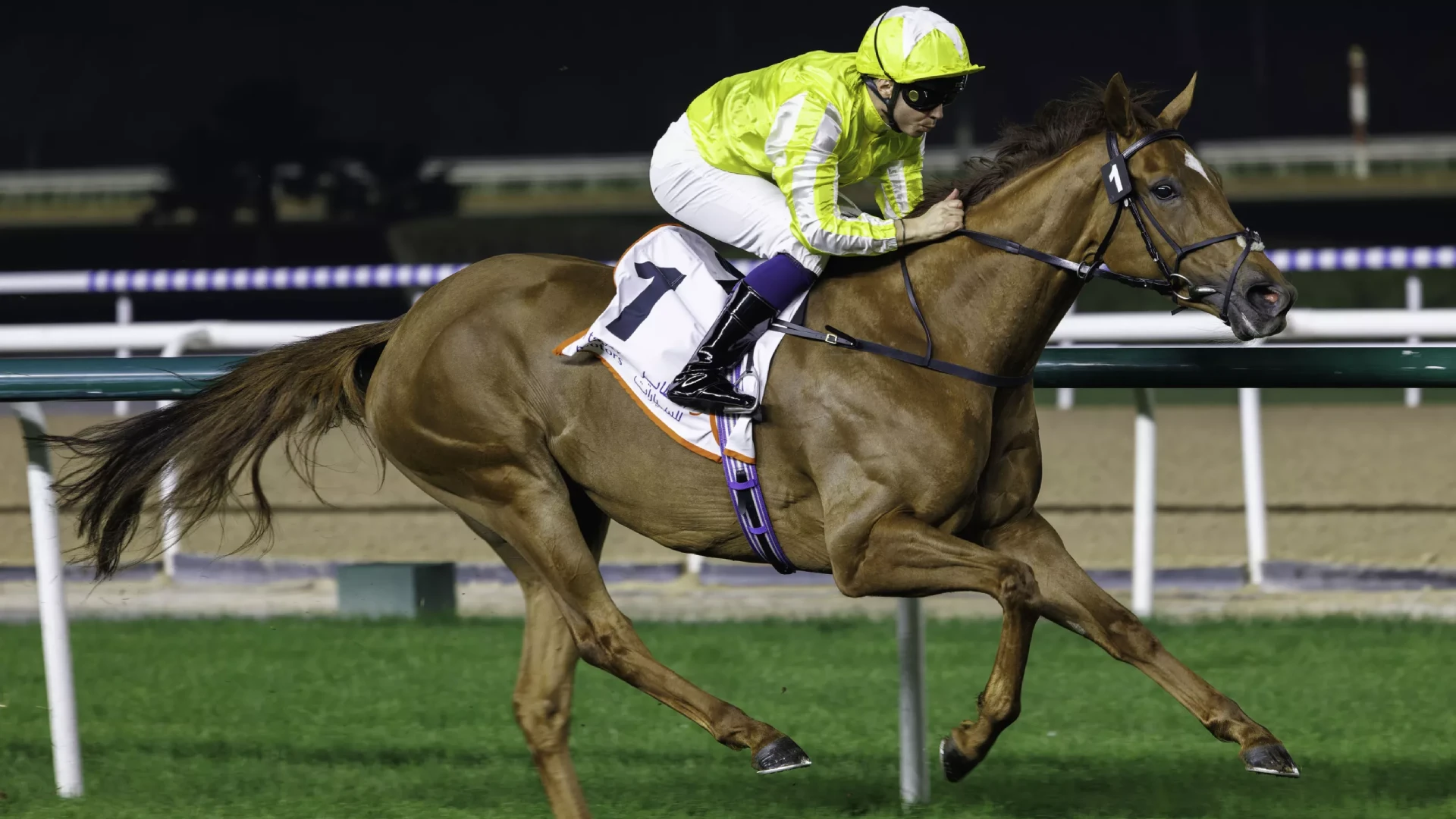 Choisya wins the G2 Cape Verdi