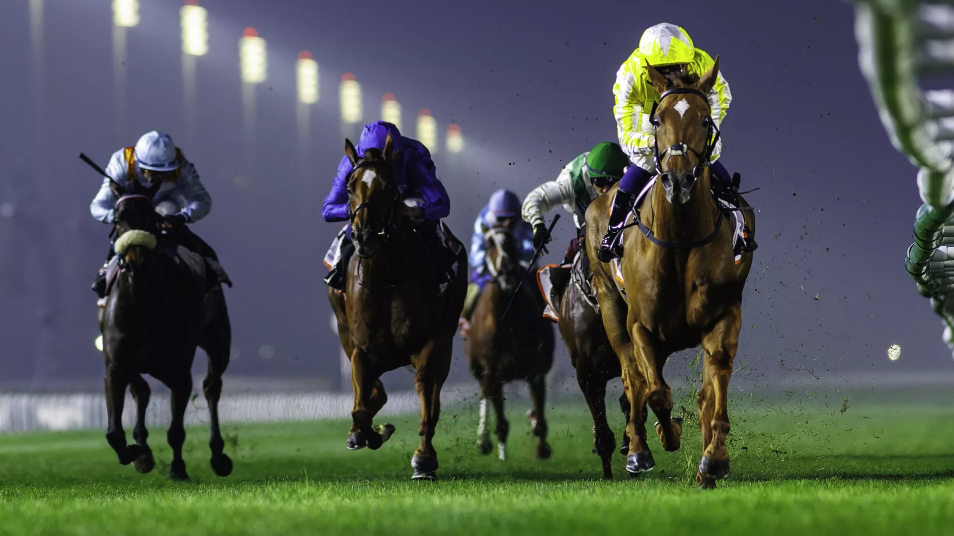 Choisya wins the G2 Cape Verdi