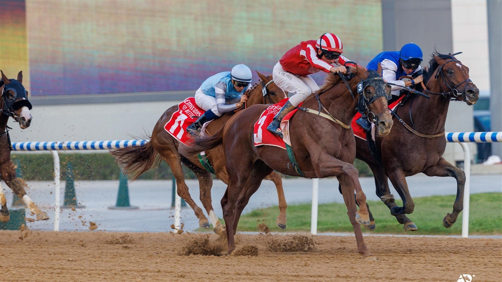 Go Soldier Go - Listed Al Bastakiya