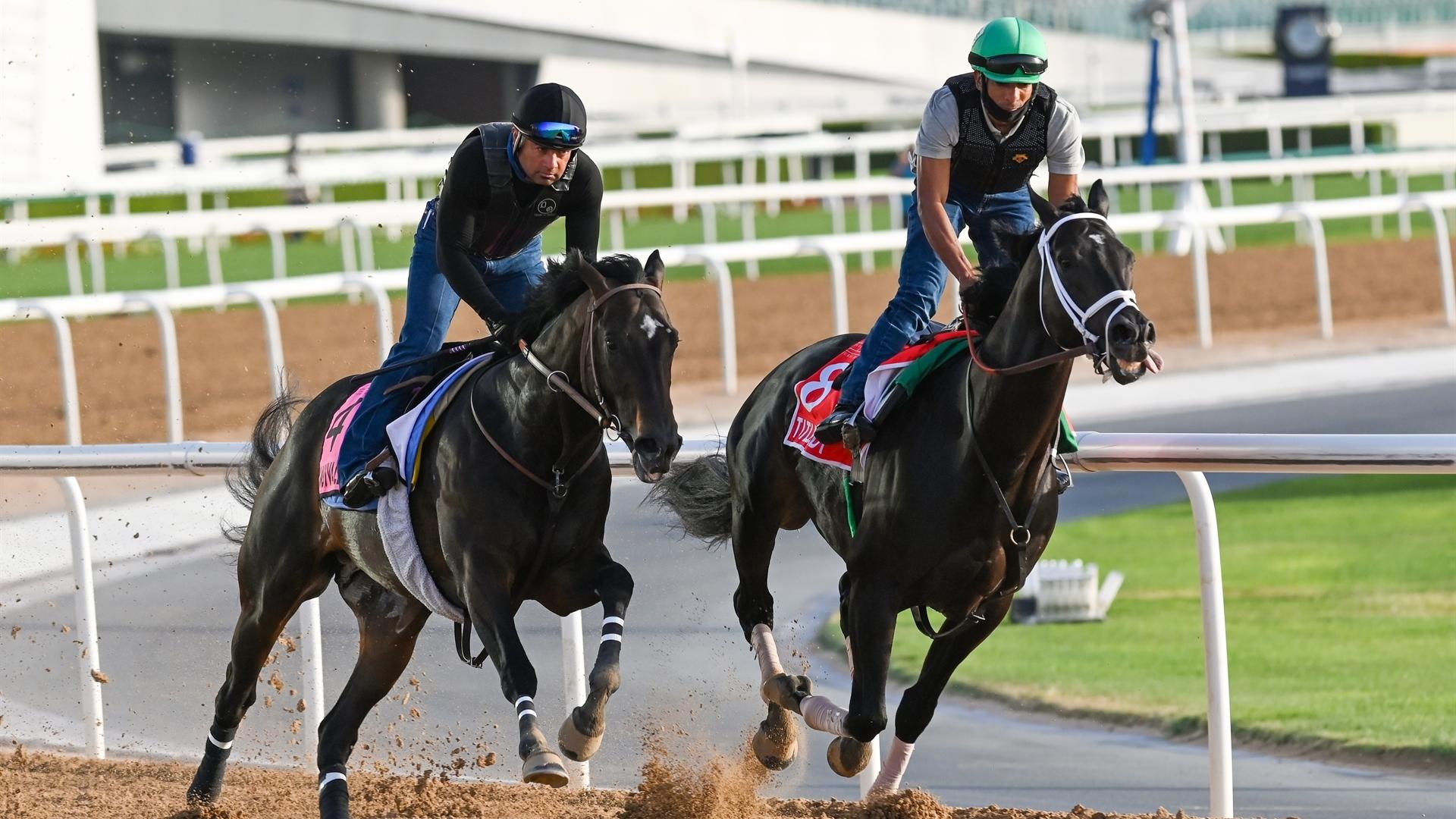 Ambivalent (USA) (Doug O'Neill) UAE DERBY (Credit Dubai Racing Club & Mathea Kelley)220321