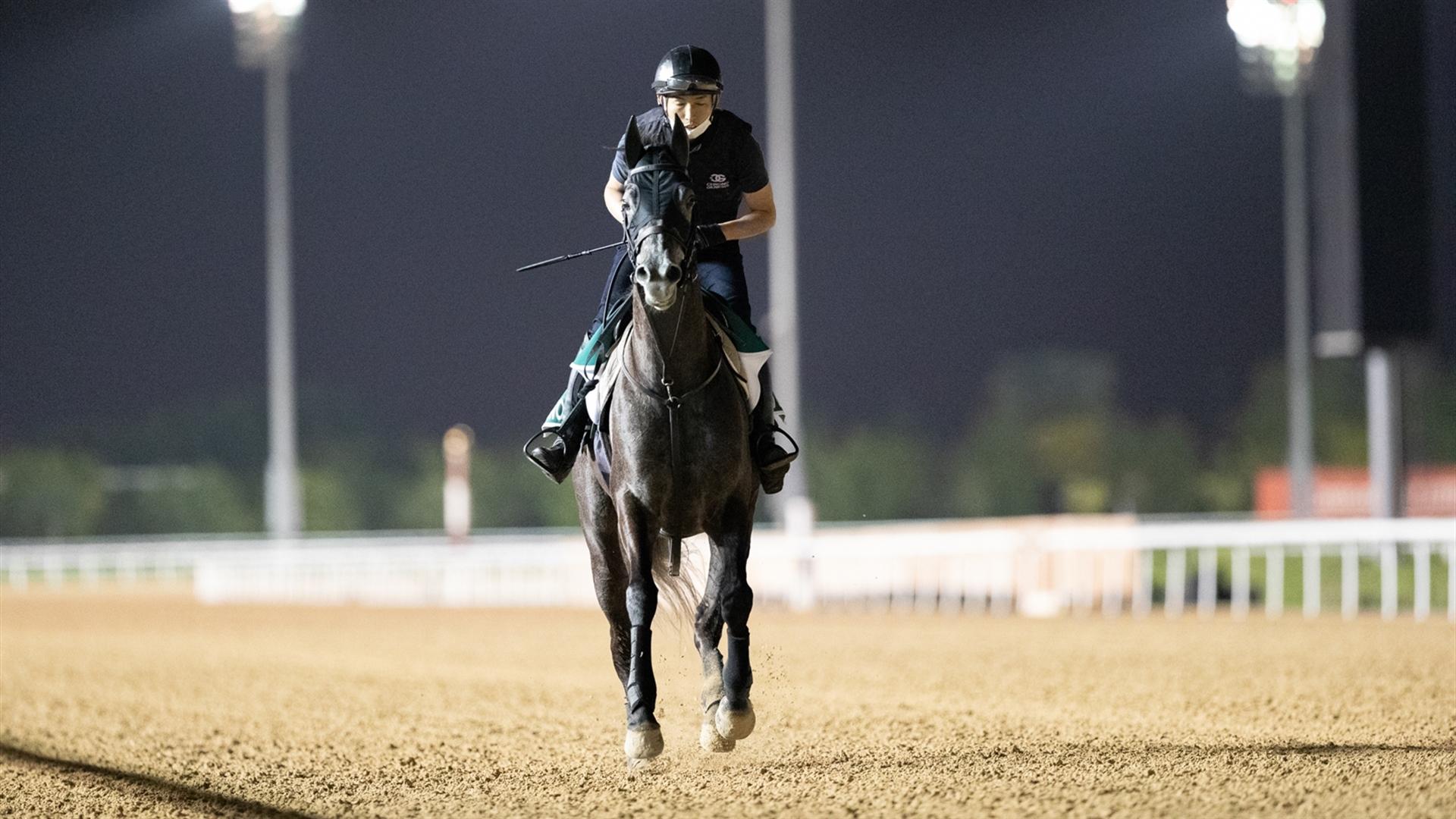 Chrono Genesis (JPN) (Takashi Saito) LONGINES DUBAI SHEEMA CLASSIC (Credit Dubai Racing Club & Neville Hopwood)220321