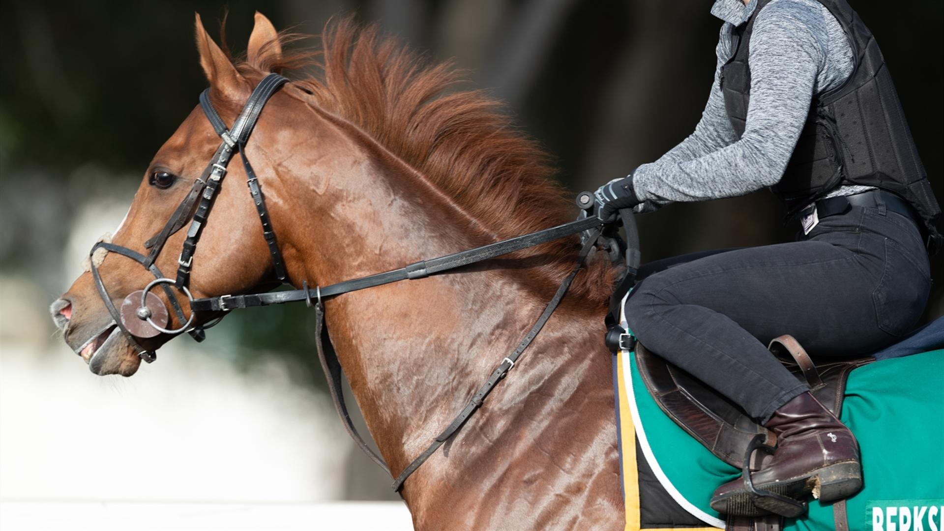 Berkshire Rocco (FR) (Andrew Balding) LONGINES DUBAI SHEEMA CLASSIC (Credit Dubai Racing Club & Neville Hopwood) 260321