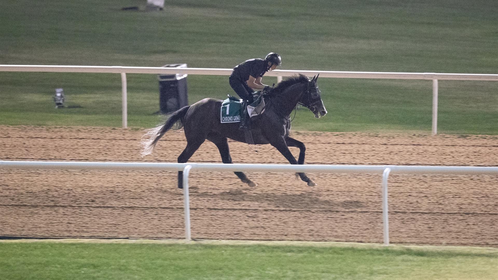 Chrono Genesis (JPN) (Takashi Saito) LONGINES DUBAI SHEEMA CLASSIC (Credit Dubai Racing Club & Mathea Kelley) 260321