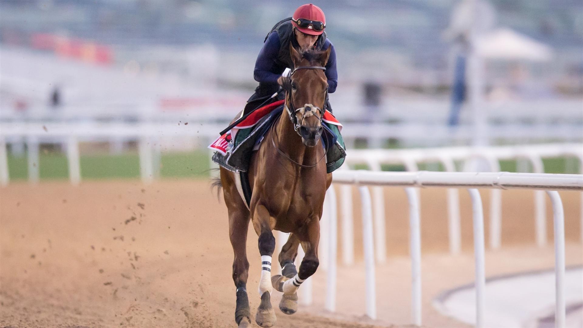 MILITARY LAW (IRE) (Musabbeh Al Mheiri) DUBAI WORLD CUP (Credit DRC & Erika Rasmussen) 250321