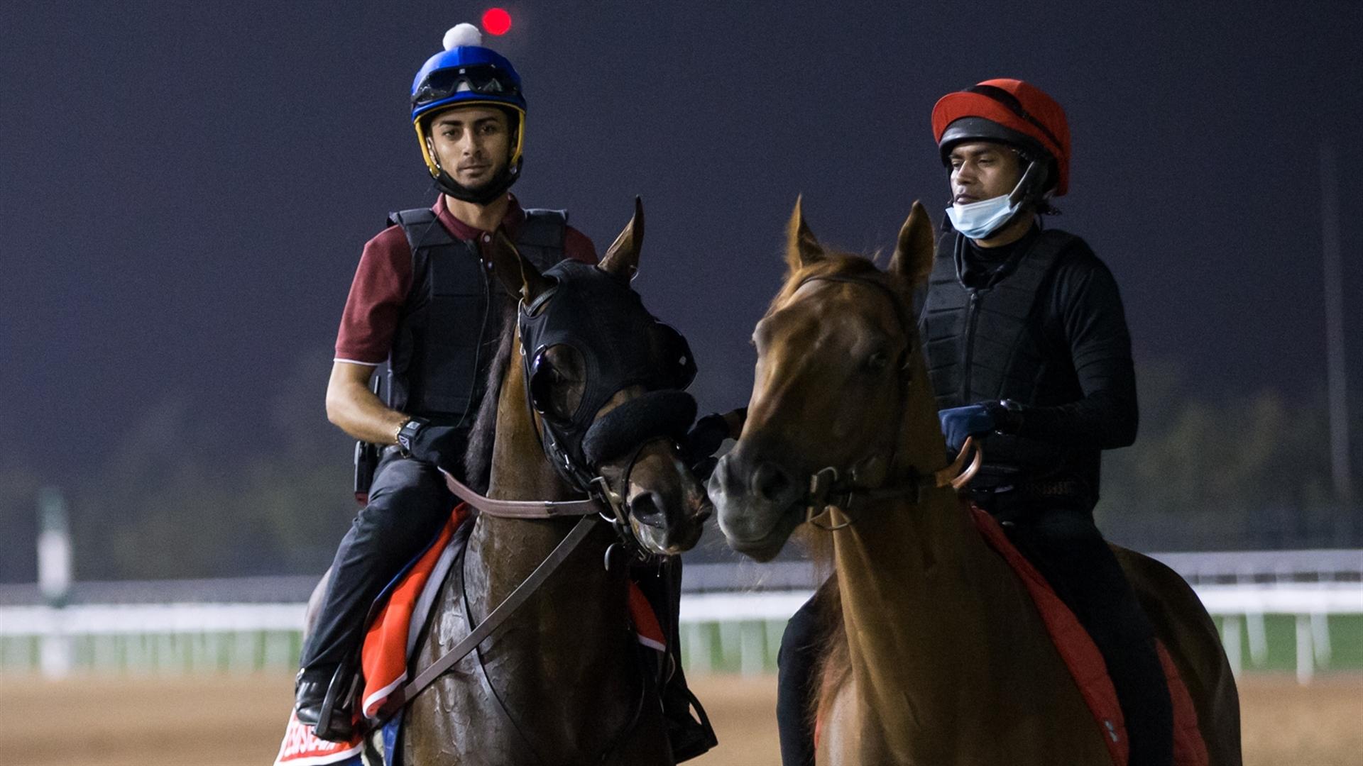 Jesus' Team (USA) (Jose Francisco D'Angelo) Dubai World Cup (Credit DRC & Erika Rasmussen)
