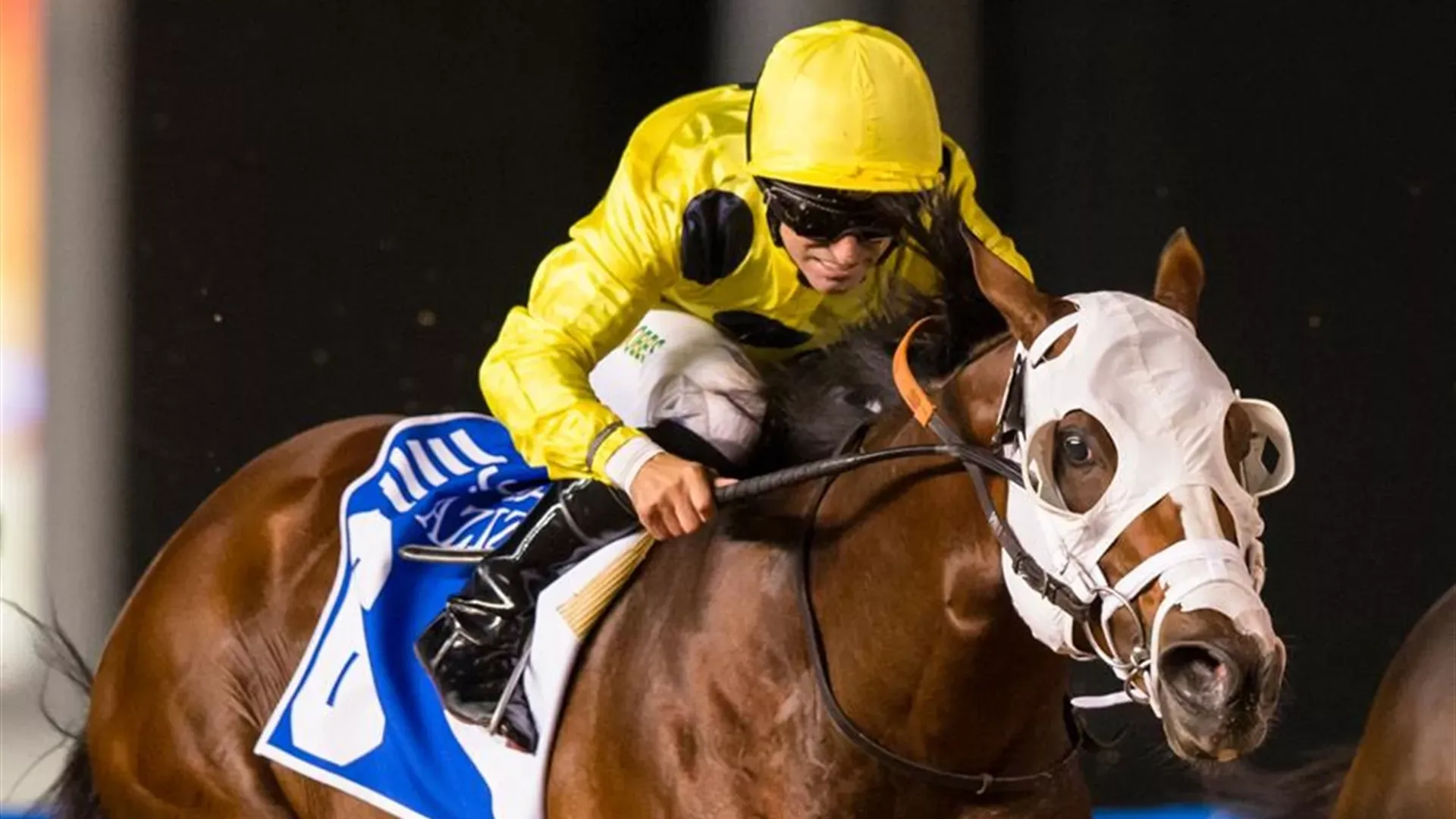 LYTHAM ST ANNES: DRC//Erika Rasmussen