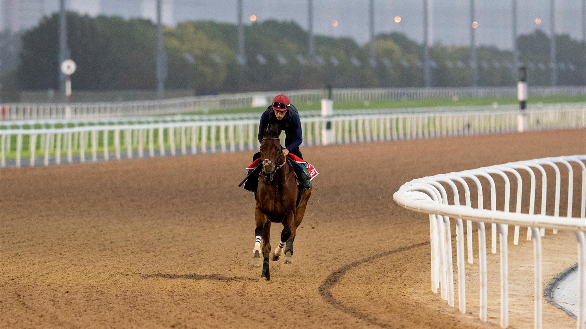 MILITARY LAW (IRE) (Musabbeh Al Mheiri) DUBAI WORLD CUP (Credit Dubai Racing Club & Mathea Kelley) 250321