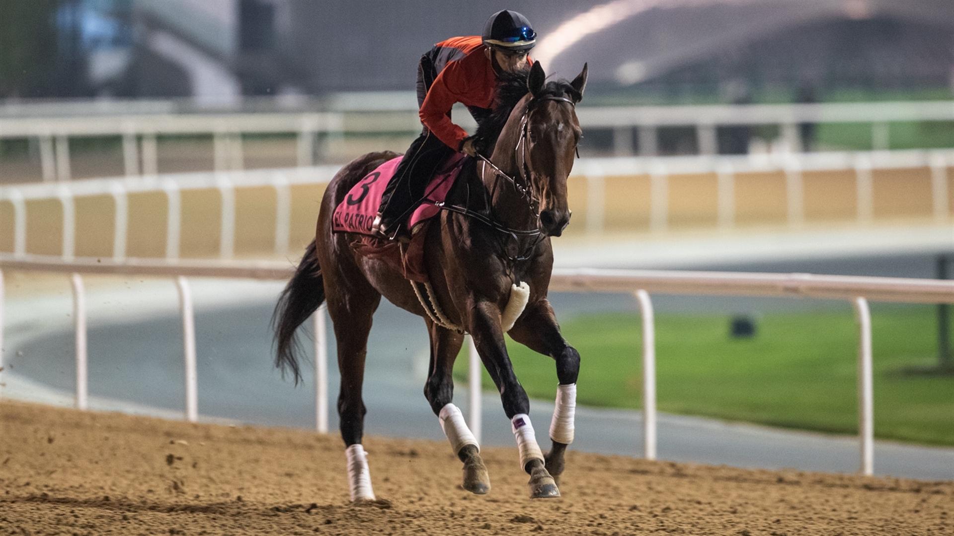 El Patriota (URU) (Antonio Cintra) UAE DERBY (Credit Dubai Racing Club & Neville Hopwood)