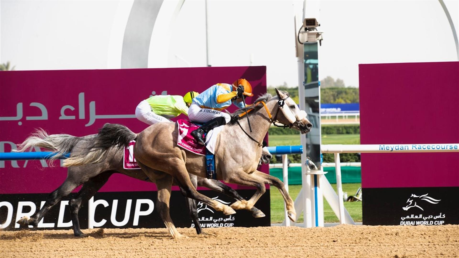 First Class (US) wins the Dubai Kahayla Classic (Credit - DRC)  - 260322